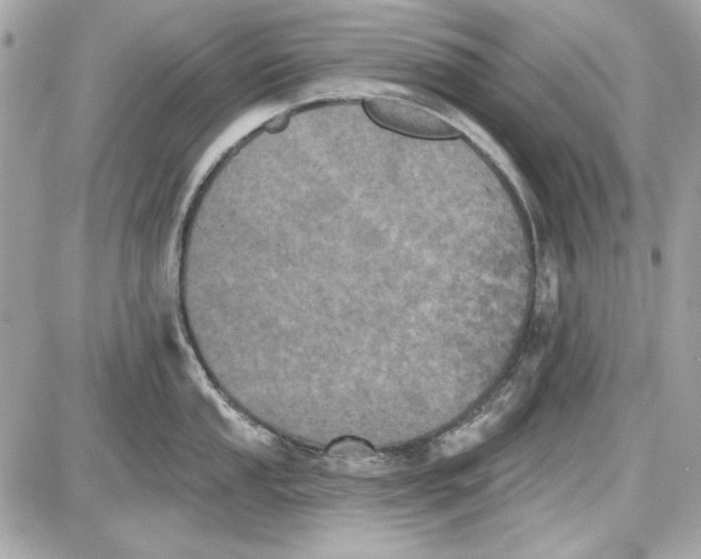 X0000087411053200705111846