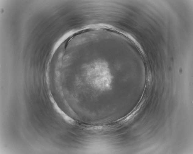 X0000087411054200705111846