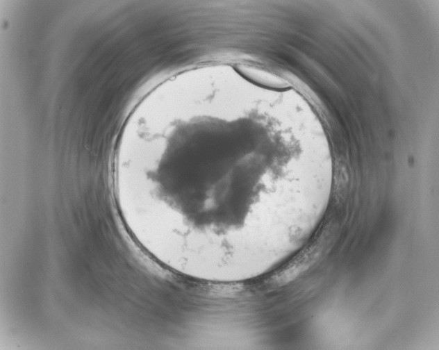 X0000087411055200705111846