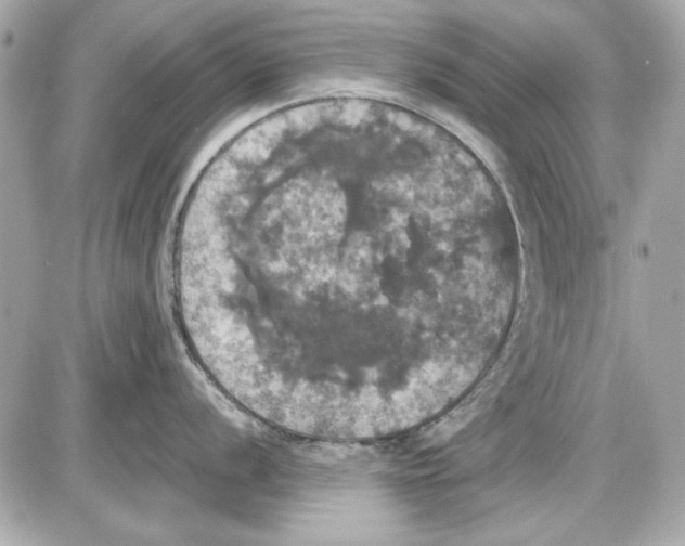 X0000087411056200705111846