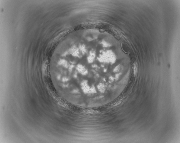 X0000087411059200705111846