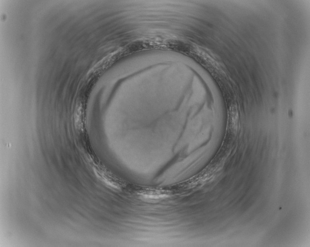 X0000087411060200705111846