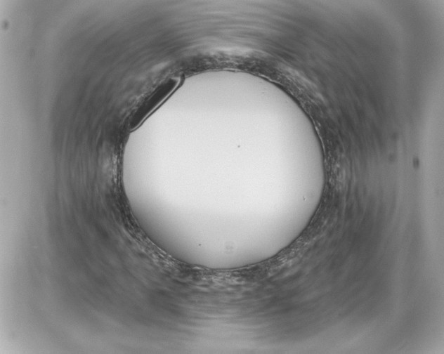 X0000087411061200705111845