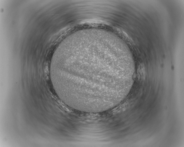 X0000087411062200705111845