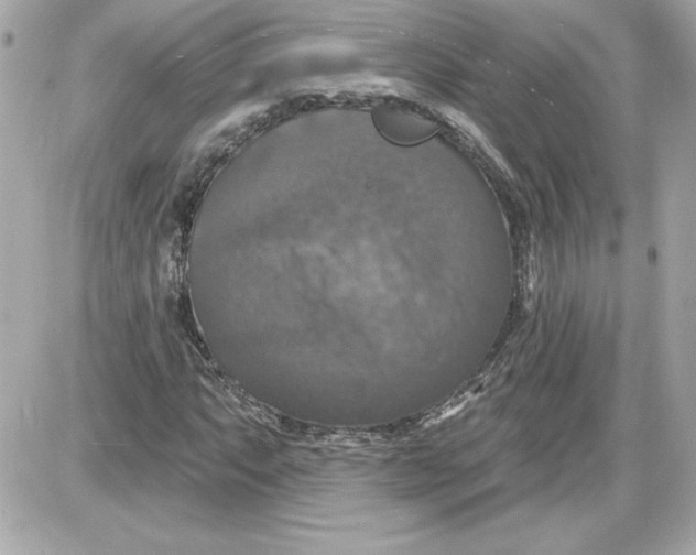 X0000087411063200705111845