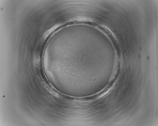 X0000087411065200705111845