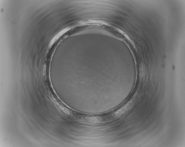 X0000087411066200705111845