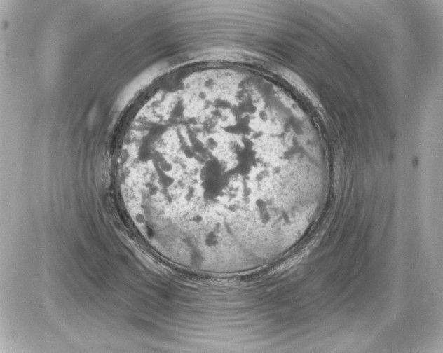 X0000087411067200705111845