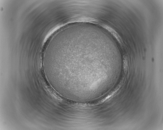 X0000087411069200705111845