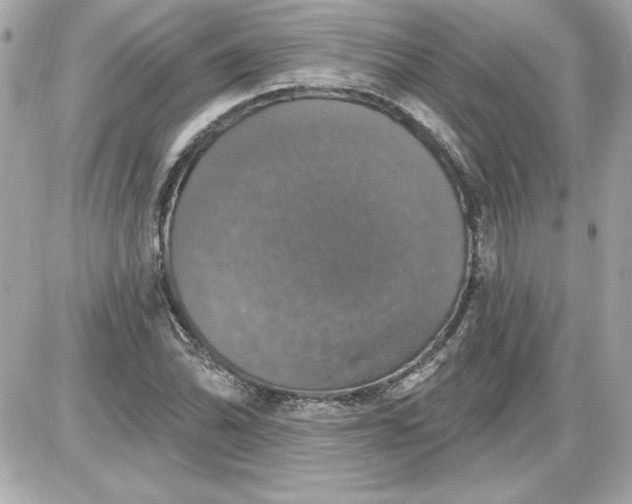 X0000087411070200705111845