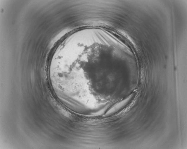 X0000087411071200705111845