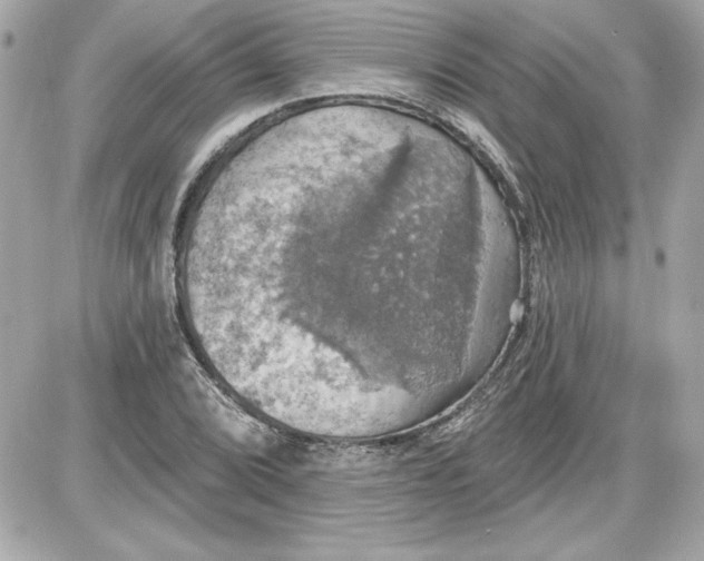 X0000087411072200705111845