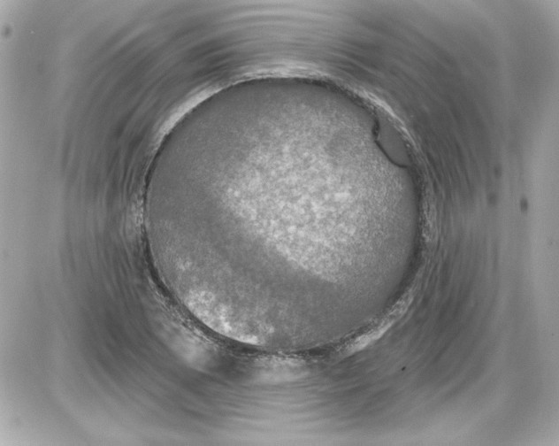 X0000087411073200705111845