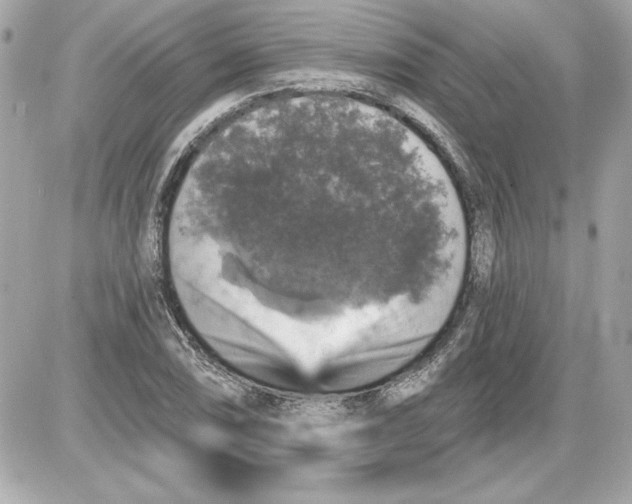 X0000087411074200705111845