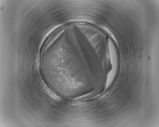 X0000087411076200705111845