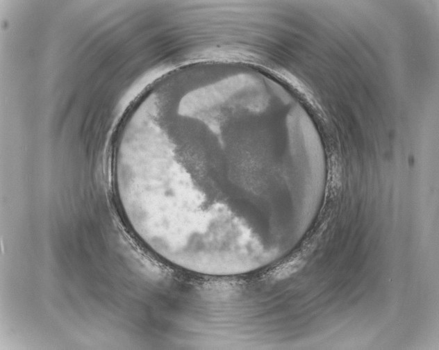 X0000087411078200705111845