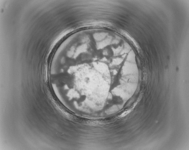 X0000087411079200705111845