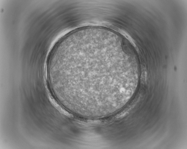 X0000087411080200705111845