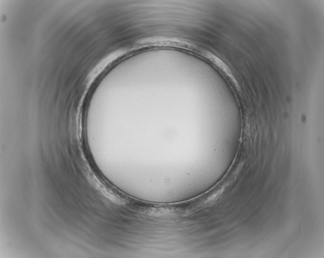 X0000087411082200705111845