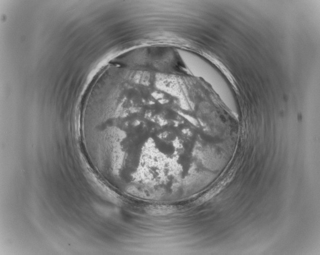 X0000087411083200705111845