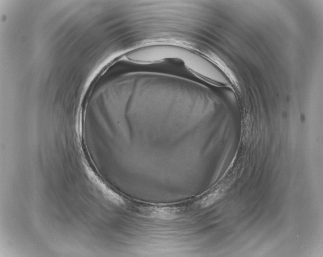 X0000087411084200705111845