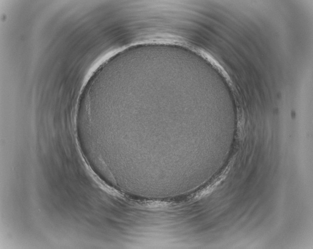 X0000087411085200705111845