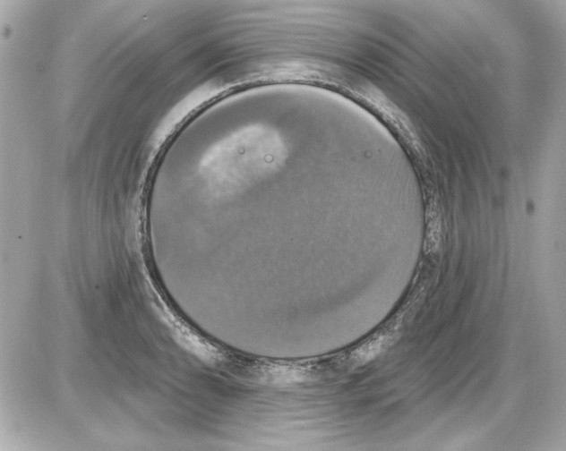 X0000087411086200705111845