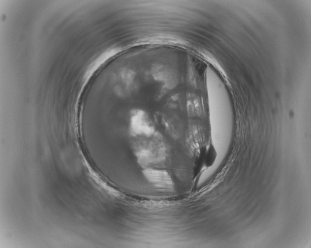 X0000087411087200705111845