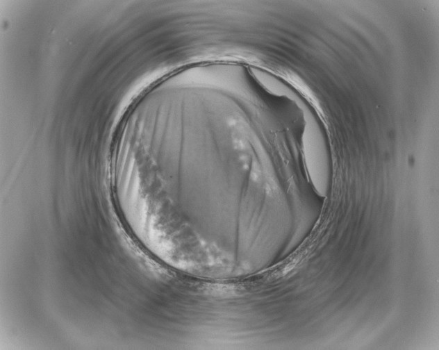 X0000087411088200705111845