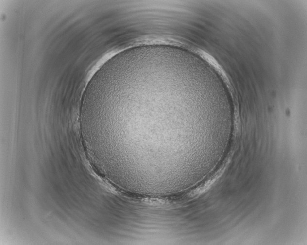 X0000087411089200705111845