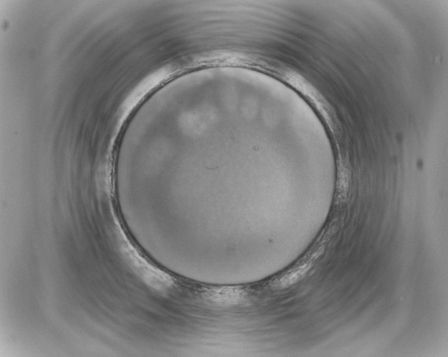 X0000087411090200705111845