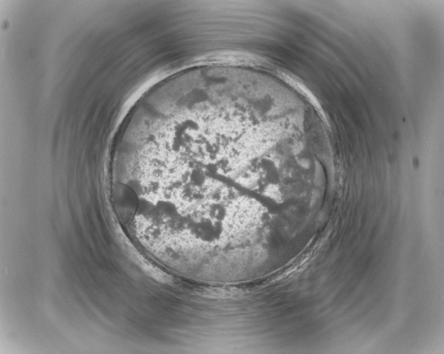 X0000087411091200705111845