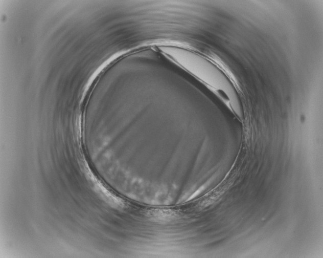 X0000087411092200705111845