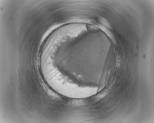 X0000087411094200705111845