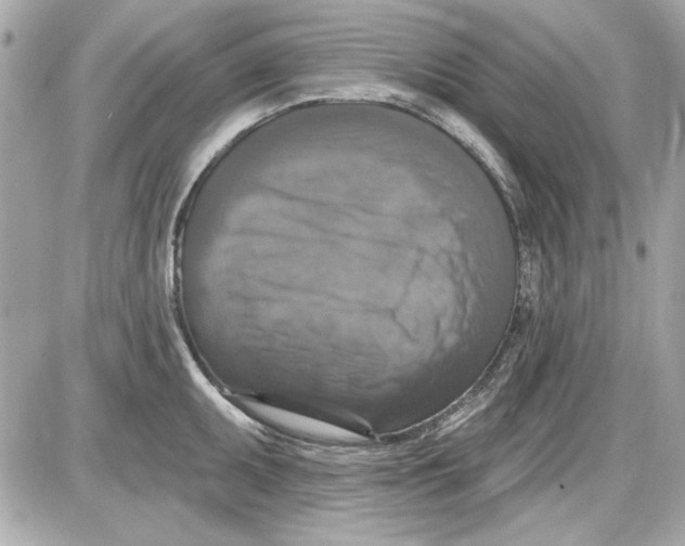 X0000087411095200705111845