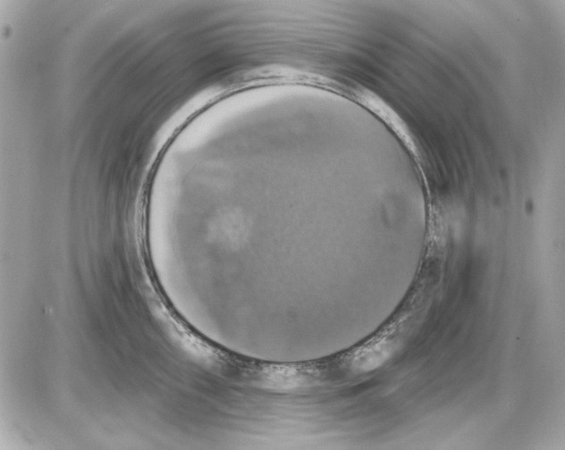 X0000087411098200705111845