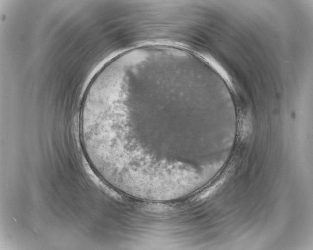 X0000087411100200705111845