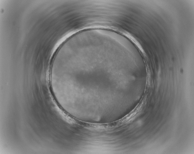 X0000087411101200705111845