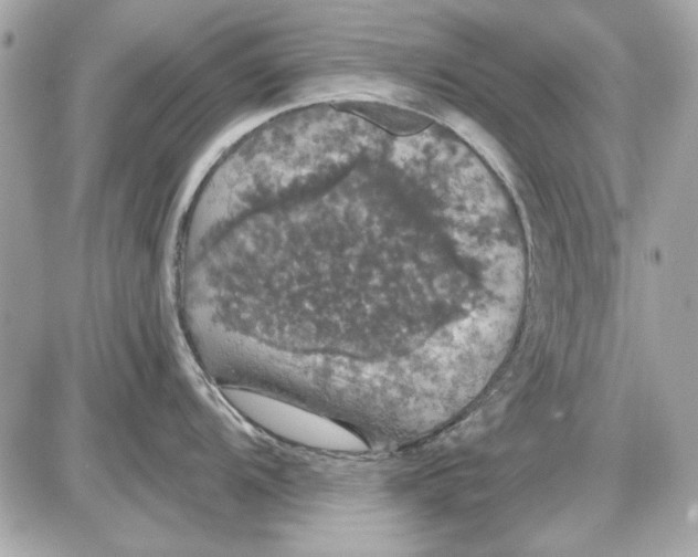 X0000087411104200705111845