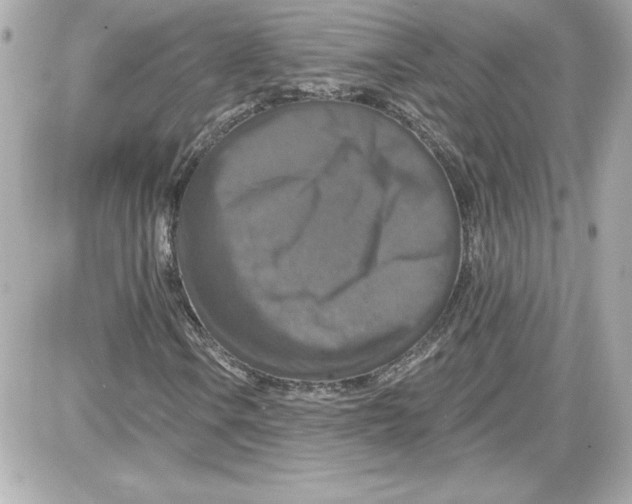 X0000087411106200705111844