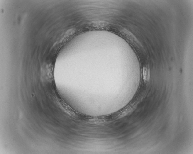 X0000087411107200705111844