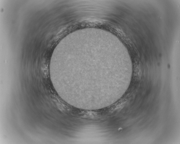 X0000087411109200705111844