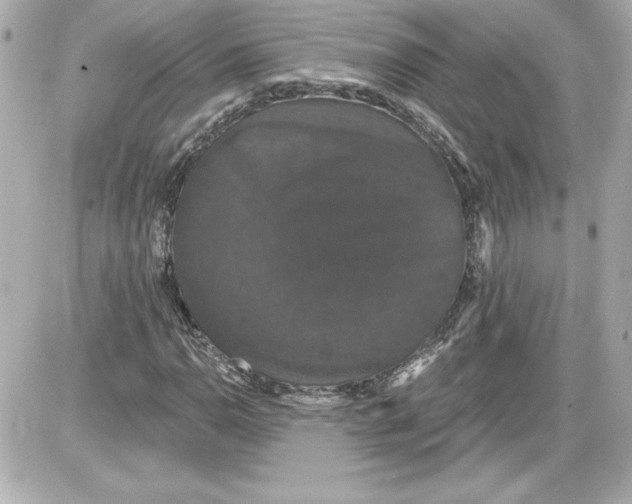 X0000087411110200705111844