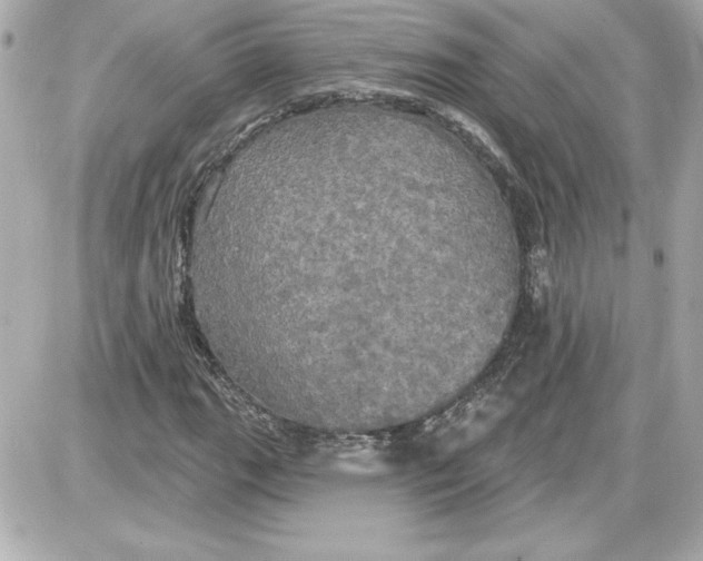 X0000087411111200705111844