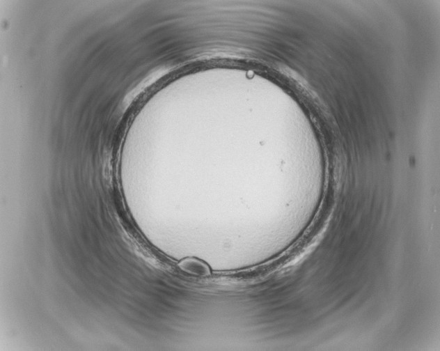 X0000087411113200705111844