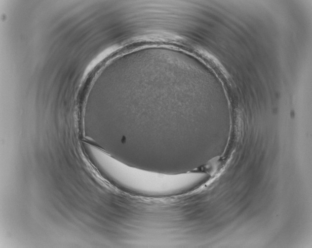 X0000087411114200705111844