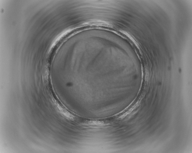 X0000087411115200705111844