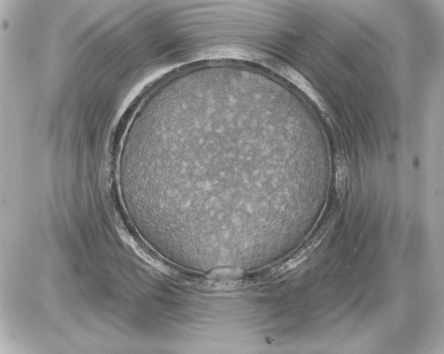 X0000087411116200705111844