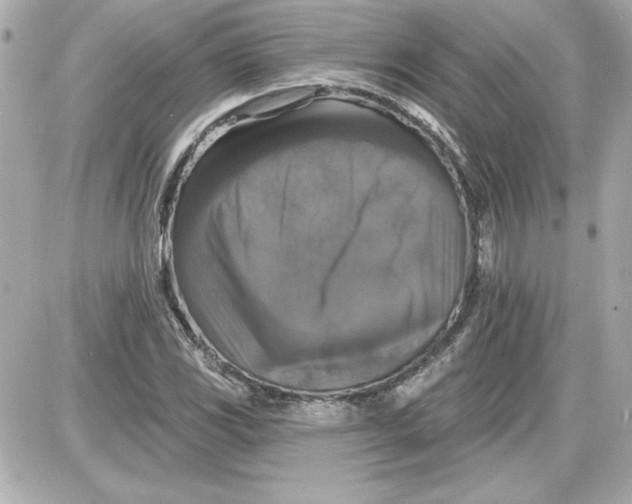 X0000087411117200705111844