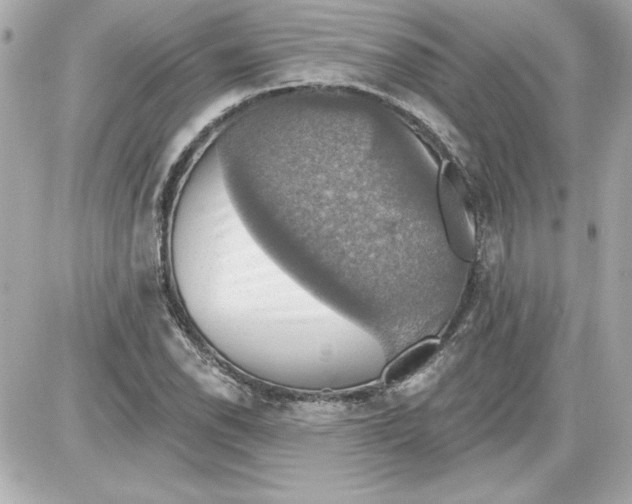 X0000087411118200705111844